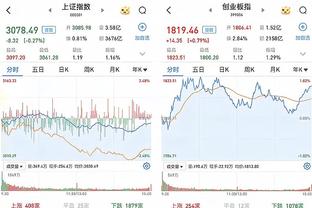 开云app官方下载安装最新版